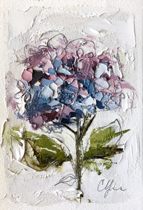 “Little Hydrangea II” 6x4 (9x7) Oil/Graphite on Paper