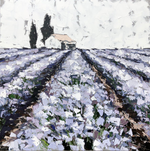 “Lavender Field”