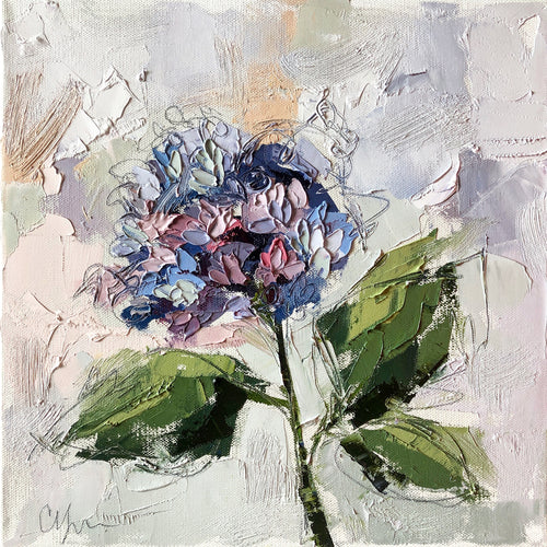 “Hydrangea X” 12x12 Oil/Graphite on Canvas