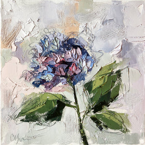 “Hydrangea X” 12x12 Oil/Graphite on Canvas