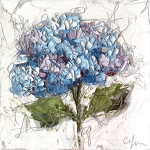 “Hydrangea II" 12x12 Oil/Graphite on Canvas