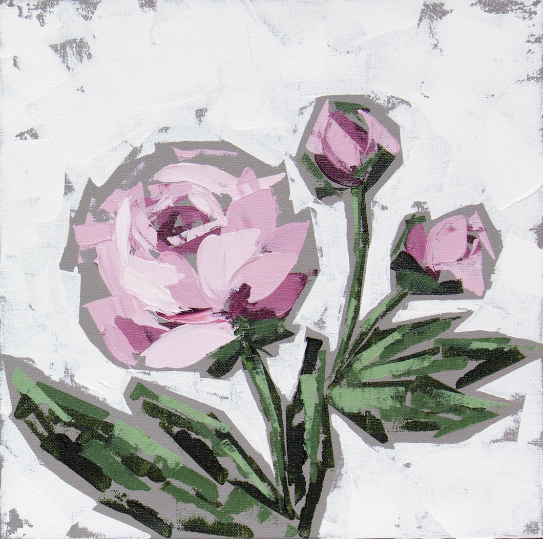 “Peonies XIX” 12x12