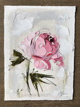 Load image into Gallery viewer, “Peony Vignette V” 7x5” Oil/Graphite on Paper