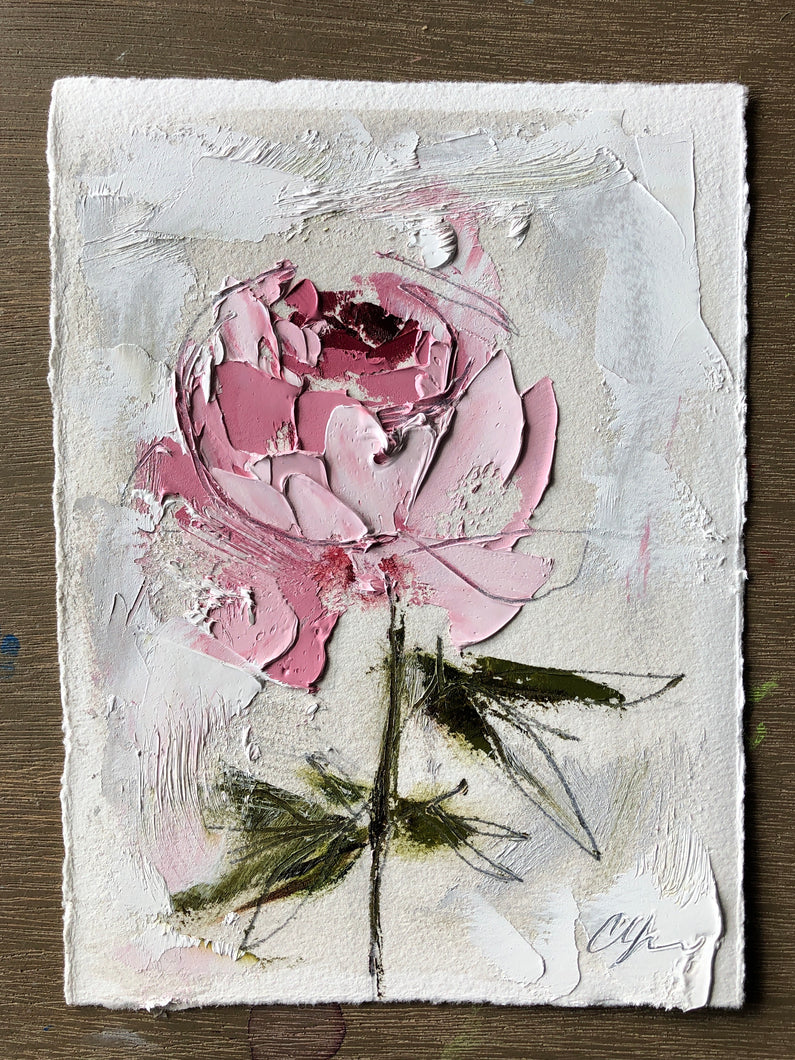 “Peony Vignette X” 7x5” Oil/Graphite on Paper