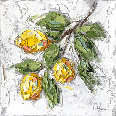 “Lemons II” 12x12 Oil/Graphite on Canvas