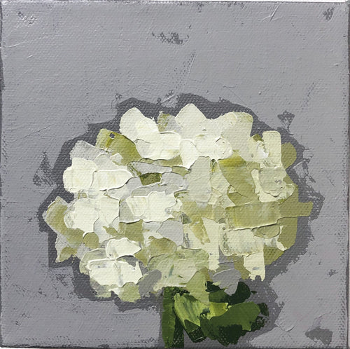 “Little Green Hydrangea no. 1”
