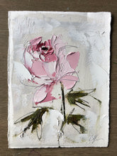 Load image into Gallery viewer, “Peony Vignette VIII” 7x5” Oil/Graphite on Paper