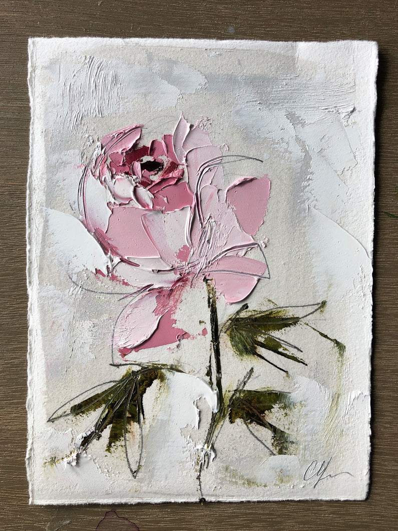 “Peony Vignette VIII” 7x5” Oil/Graphite on Paper