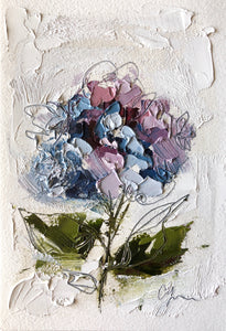 “Little Hydrangea III” 6x4 (9x7) Oil/Graphite on Paper