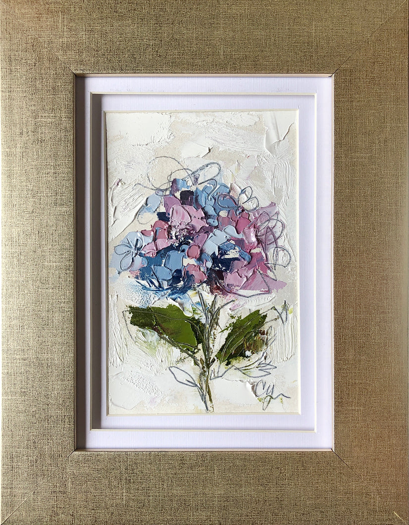 “Little Hydrangea V” 6x4 (9x7) Oil/Graphite on Paper