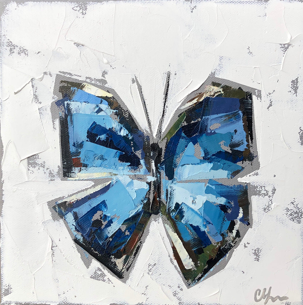 “Blue Morpho no. 1” 8x8