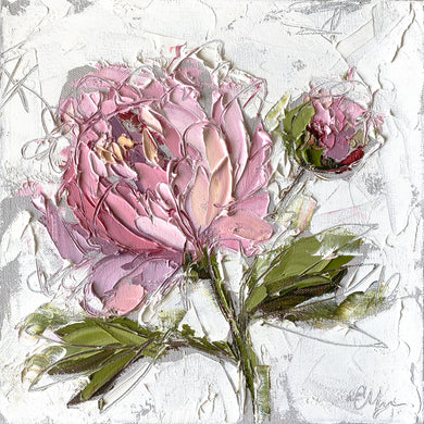 “Peony I” 12x12 Oil/Graphite on Canvas