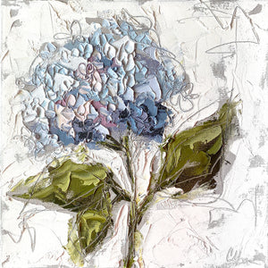 “Hydrangea I" 12x12 Oil/Graphite on Canvas