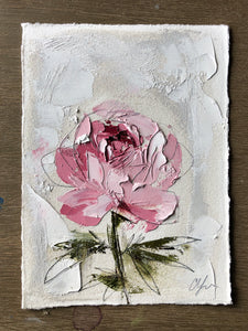 “Peony Vignette VI” 7x5” Oil/Graphite on Paper