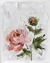 Load image into Gallery viewer, “PEONY VIGNETTE XXVII” 16.5x13.5 (10x8) Oil/Graphite on Paper