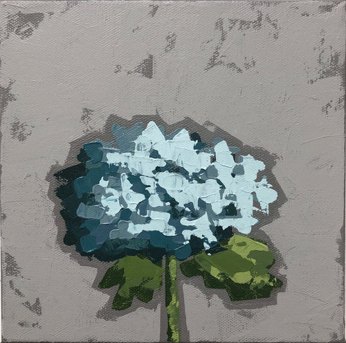 “Little Blue Hydrangea”