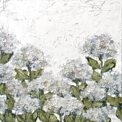 “White Hydrangea Garden